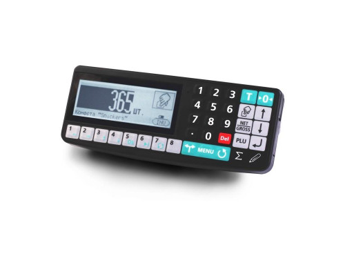 Купить Весы платформенные Масса-К 4D-PM-12/12-3000-RA от Масса-К